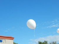 DSCN5794